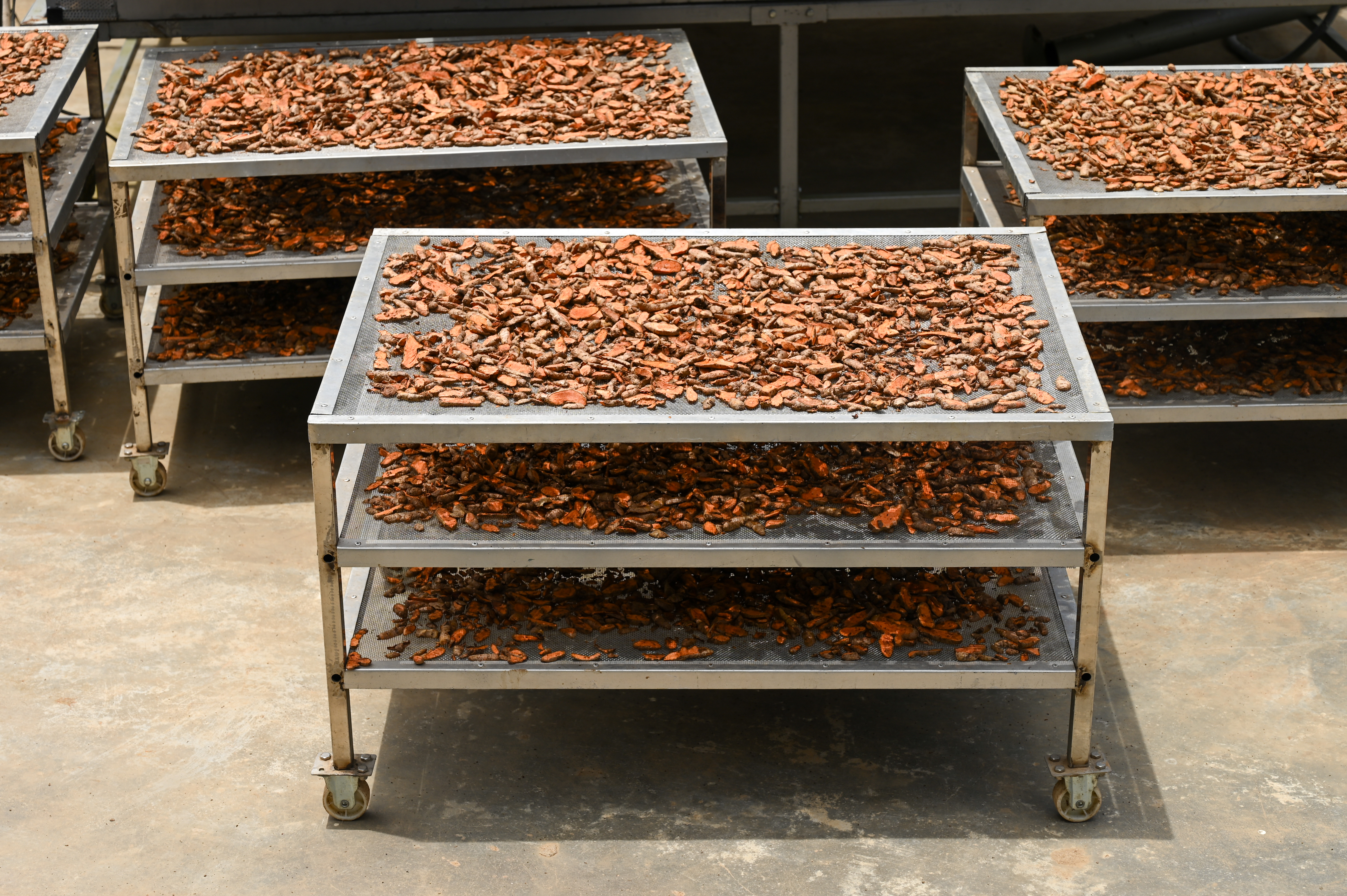 Life Spices Photo 32